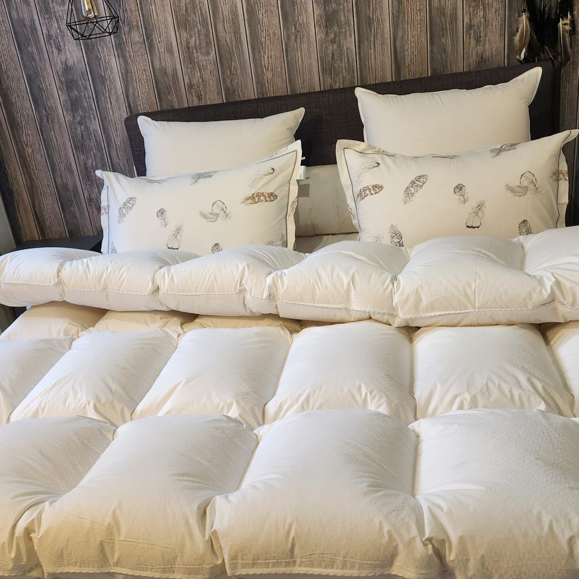 SEMI-CASSETTE 205×205 – 24 cassettes