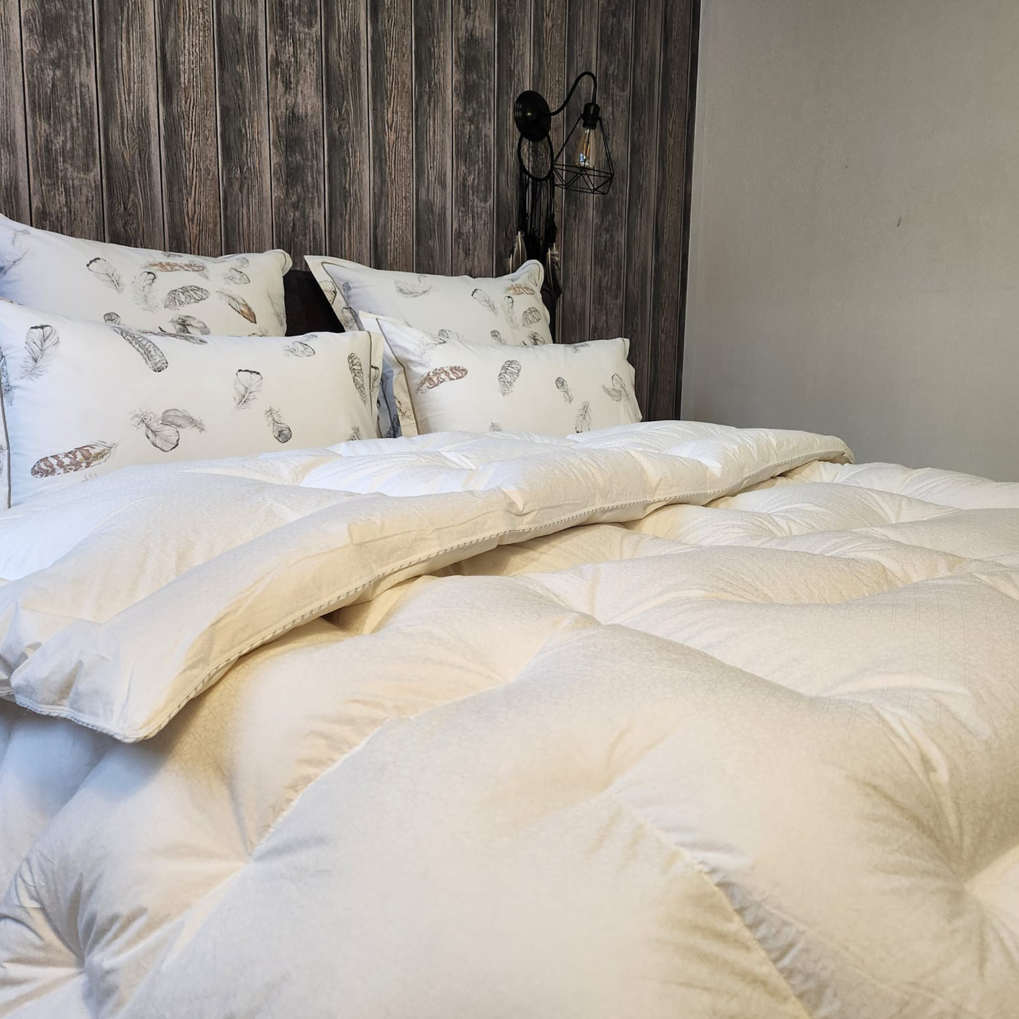 SEMI-CASSETTE 220×240 – 30 cassettes