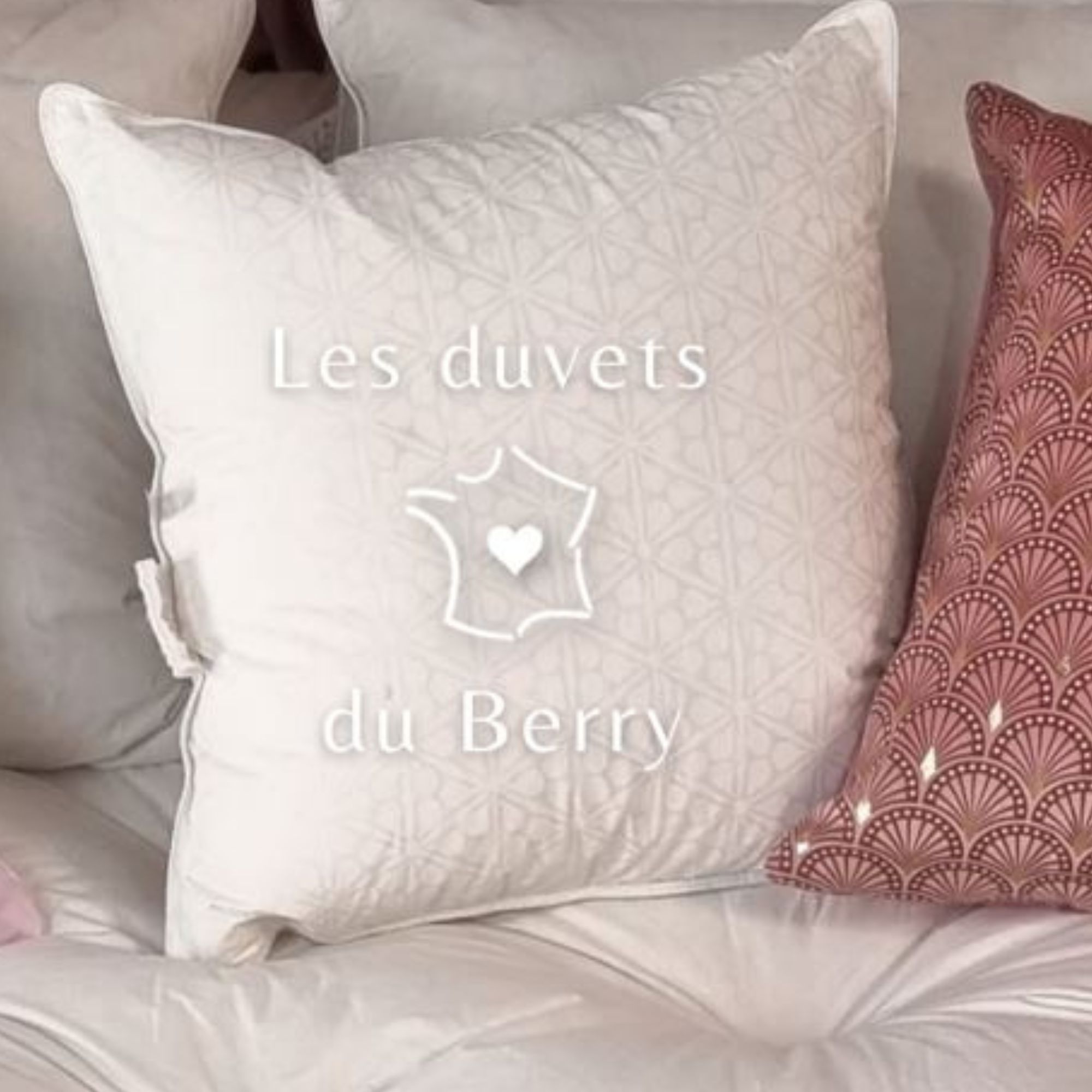 OREILLER 40×40 – plumette fine