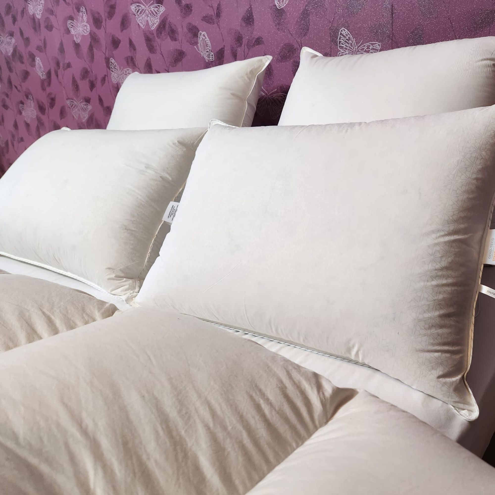 OREILLER 50×70 – duvet