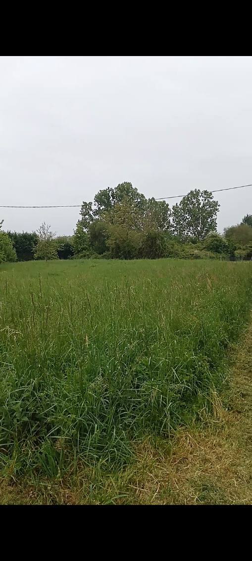 Terrain à vendre à Castelsarrasin 82100 0644746350.