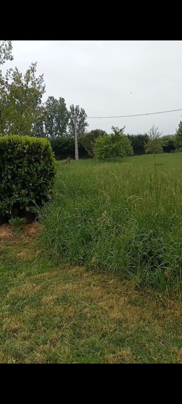 Terrain à vendre à Castelsarrasin 82100 0644746350.