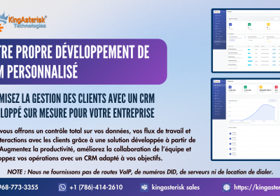 custom-CRM-development-french