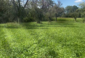 Vends terrain agricole