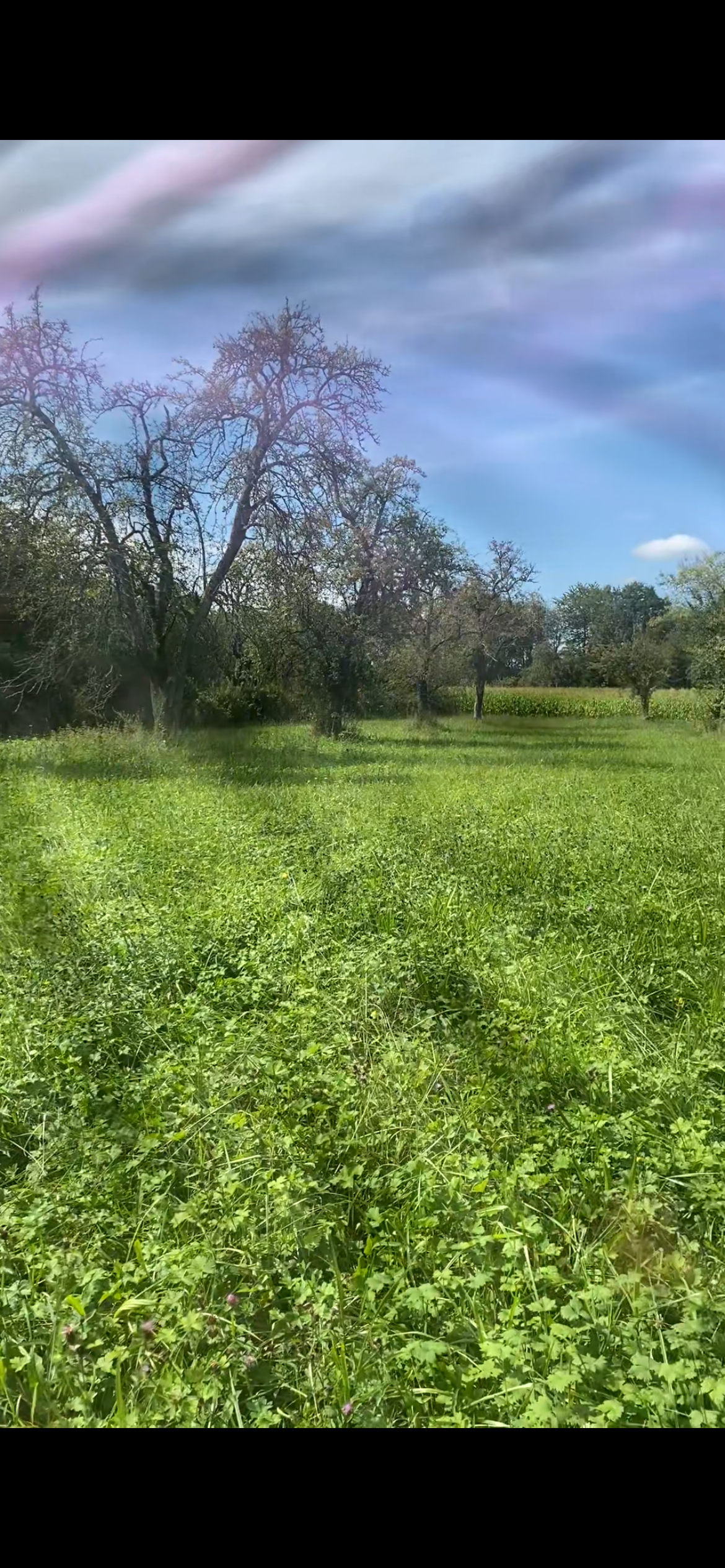 Vends terrain agricole